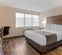 Best Western Plus Executive Residency Room