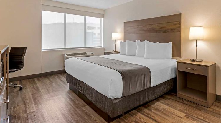 Best Western Plus Executive Residency Room