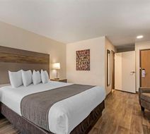 Best Western Plus Executive Residency Room