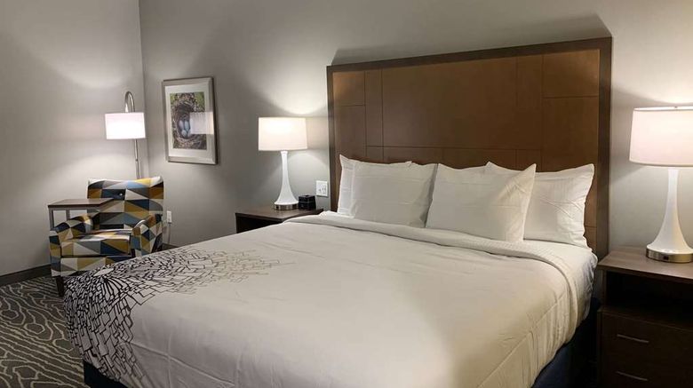 <b>La Quinta Inn & Suites by Wyndham Room</b>. Images powered by <a href="https://iceportal.shijigroup.com/" title="IcePortal" target="_blank">IcePortal</a>.