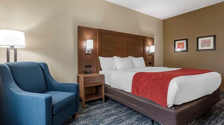 <b>Comfort Inn & Suites Downtown near Univ Room</b>. Images powered by <a href="https://iceportal.shijigroup.com/" title="IcePortal" target="_blank">IcePortal</a>.