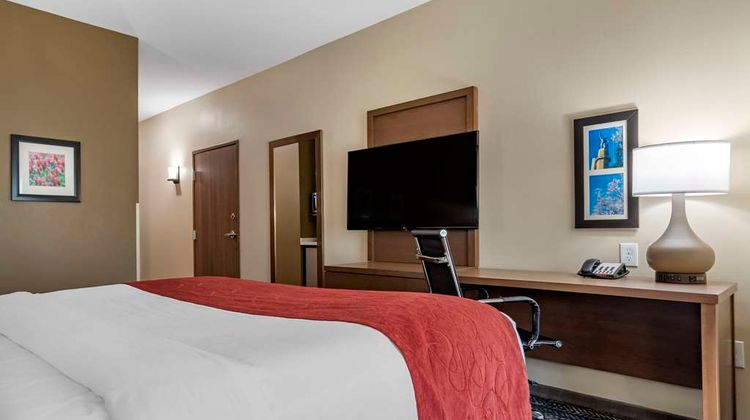 Comfort Inn & Suites Downtown near Univ Room