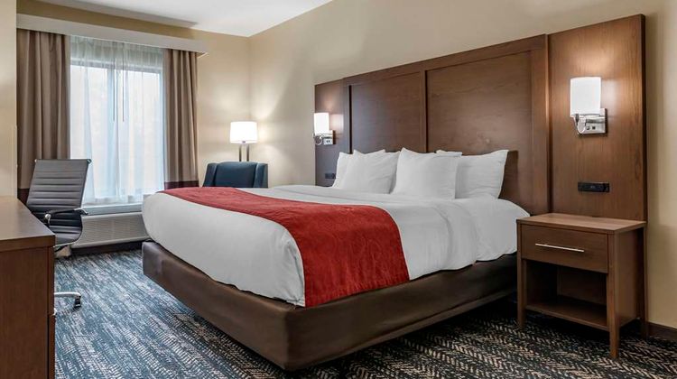 Comfort Inn & Suites Downtown near Univ Room