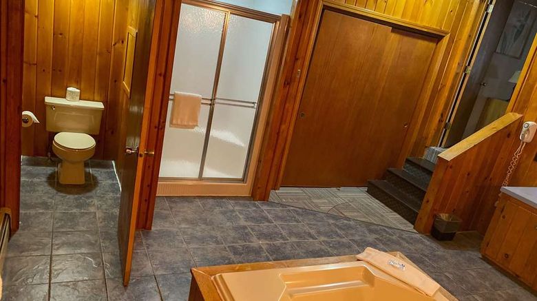 <b>Travelodge by Wyndham Lincoln Room</b>. Images powered by <a href="https://iceportal.shijigroup.com/" title="IcePortal" target="_blank">IcePortal</a>.