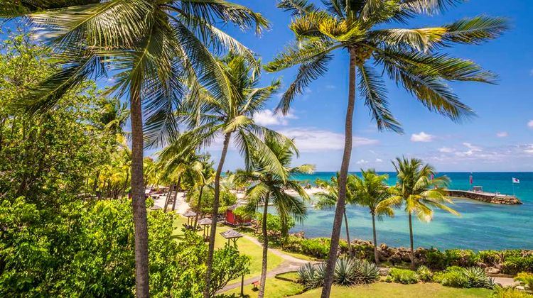 La Creole Beach Hotel & Spa Beach