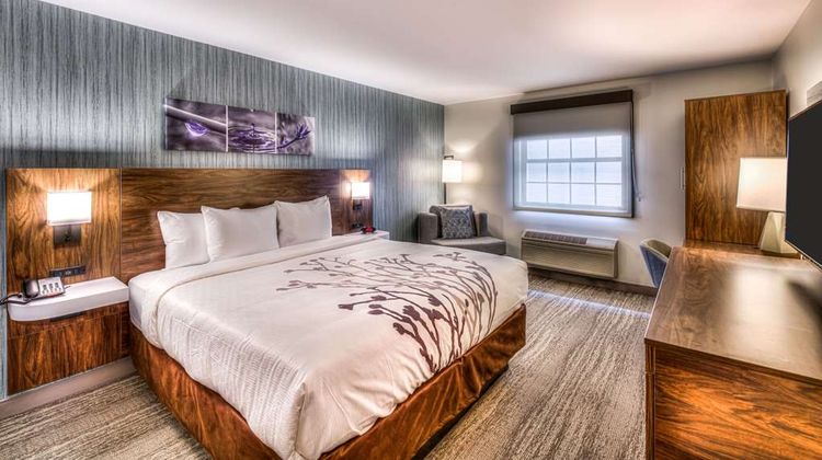 Sleep Inn Oak Brook Terrace-Chicago Room