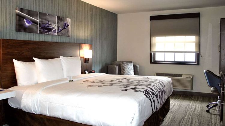 Sleep Inn Oak Brook Terrace-Chicago Room