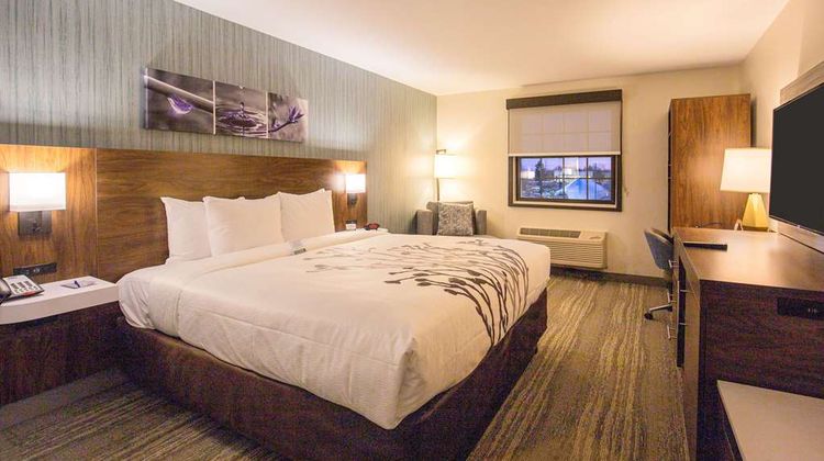 Sleep Inn Oak Brook Terrace-Chicago Room