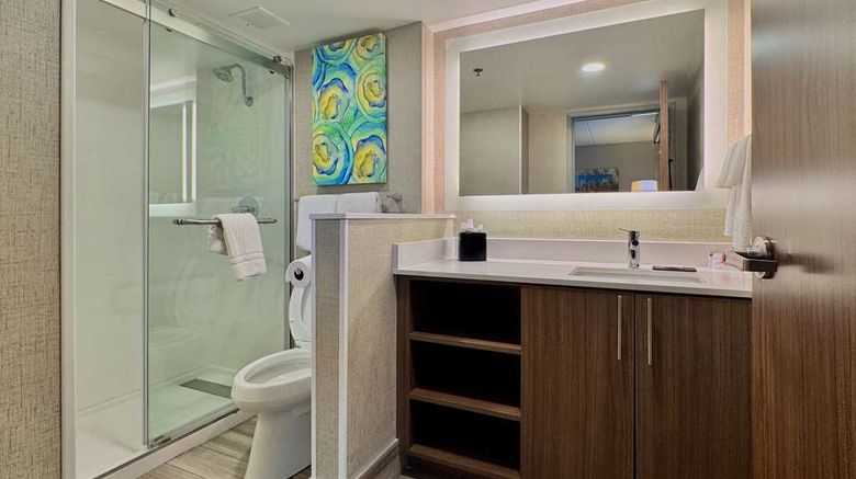 <b>MainStay Stes Oak Brook Terrace-Chicago Room</b>. Images powered by <a href="https://iceportal.shijigroup.com/" title="IcePortal" target="_blank">IcePortal</a>.