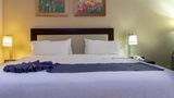 Excellence Express Stes San Juan del Rio Room