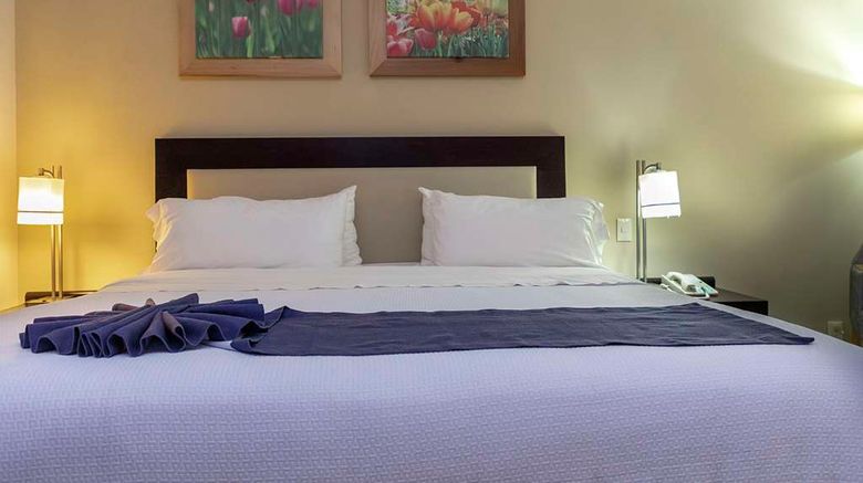 <b>Excellence Express Stes San Juan del Rio Room</b>. Images powered by <a href="https://iceportal.shijigroup.com/" title="IcePortal" target="_blank">IcePortal</a>.