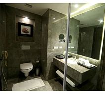 Best Western Plus Tejvivaan Room