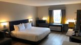 Microtel Inn & Suites by Wyndham Room