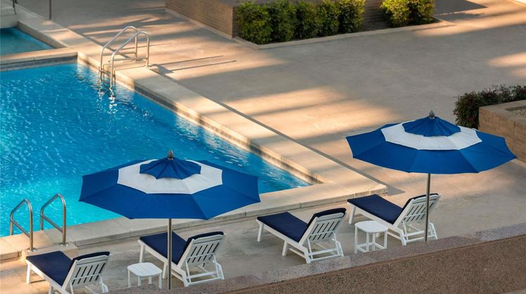 The Fairmont Dallas Pool
