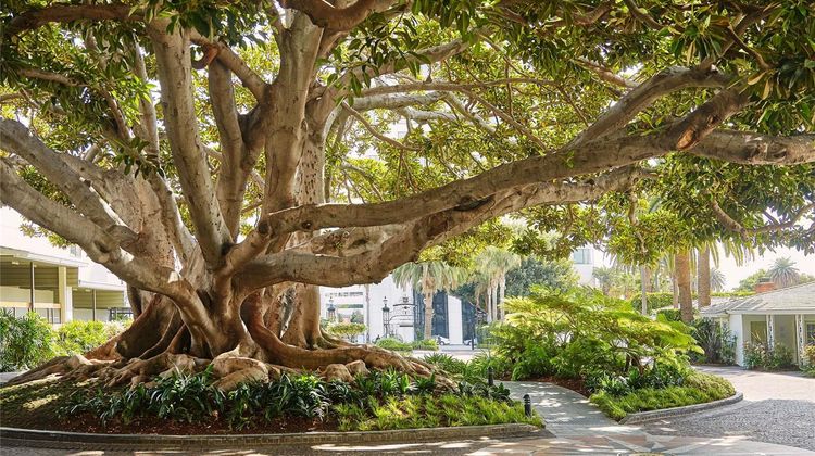 The Fairmont Miramar Hotel & Bungalows Other