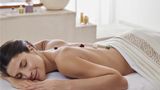 <b>The Fairmont Monte Carlo Spa</b>. Images powered by <a href="https://iceportal.shijigroup.com/" title="IcePortal" target="_blank">IcePortal</a>.