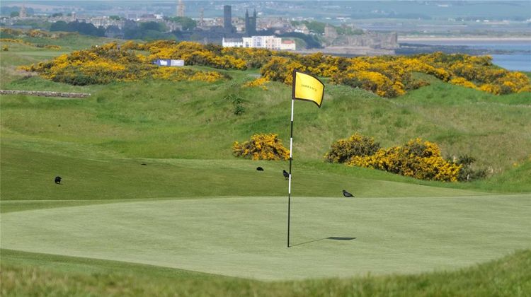 Fairmont St Andrews Golf