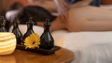 <b>Fairmont Nile City Hotel, Cairo Spa</b>. Images powered by <a href="https://iceportal.shijigroup.com/" title="IcePortal" target="_blank">IcePortal</a>.