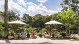 Fairmont Mara Safari Club Pool