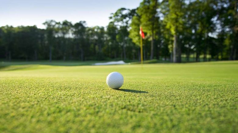 <b>Hyatt Place Austin/Lake Travis Golf</b>. Images powered by <a href="https://iceportal.shijigroup.com/" title="IcePortal" target="_blank">IcePortal</a>.