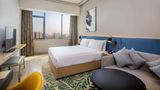 Hilton Garden Inn Changde Dingcheng Room