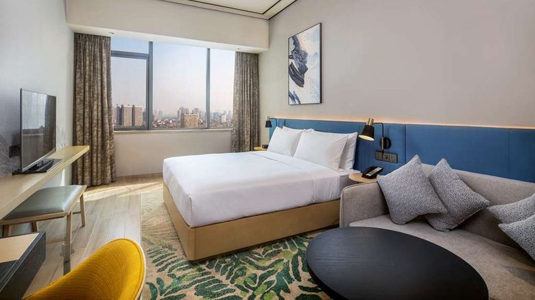 <b>Hilton Garden Inn Changde Dingcheng Room</b>. Images powered by <a href="https://iceportal.shijigroup.com/" title="IcePortal" target="_blank">IcePortal</a>.