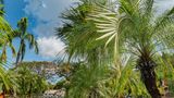 Tamarindo Diria Beach Resort Pool
