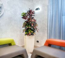 Hotel Varese Rome Lobby