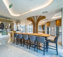 Radisson Hotel-Convention OR Tambo Arpt Lobby