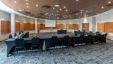 Radisson Hotel-Convention OR Tambo Arpt Meeting