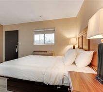 Suburban Studios Room