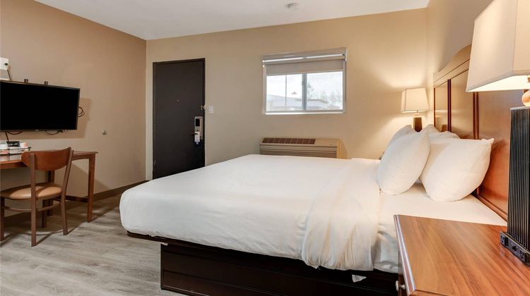 Suburban Studios Room