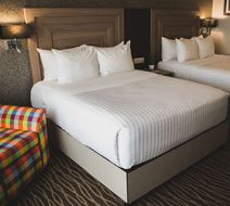 Hilton Garden Inn Leon Room