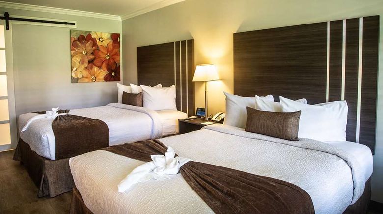 <b>Palm Garden Hotel Room</b>. Images powered by <a href="https://iceportal.shijigroup.com/" title="IcePortal" target="_blank">IcePortal</a>.