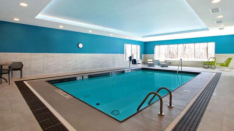 Hampton Inn & Suites Ottawa West Pool