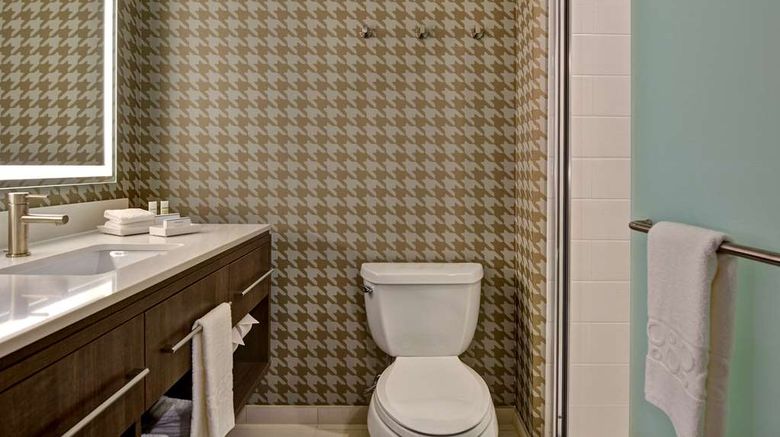 <b>Home2 Suites Orlando Flamingo Crossings Room</b>. Images powered by <a href="https://iceportal.shijigroup.com/" title="IcePortal" target="_blank">IcePortal</a>.