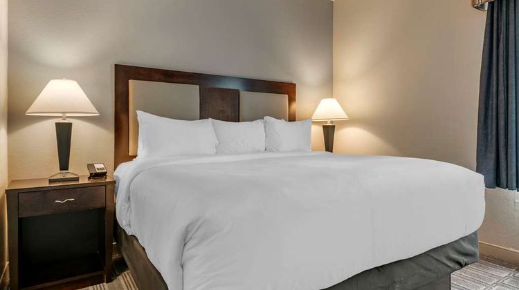 Comfort Inn & Suites Port Charlotte Suite