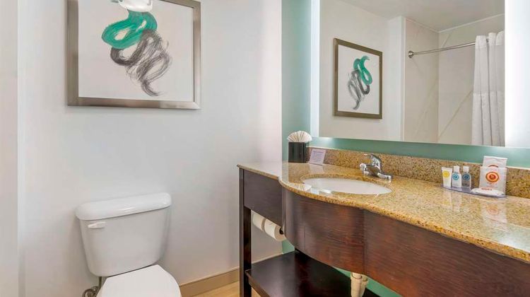 Comfort Inn & Suites Port Charlotte Room