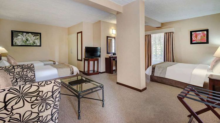 Hazyview Sun Hotel Suite