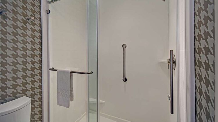 Home2 Stes by Hilton Raleigh North I-540 Room