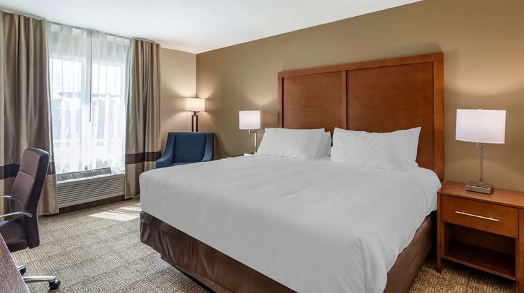 Comfort Inn and Suites Waller Room