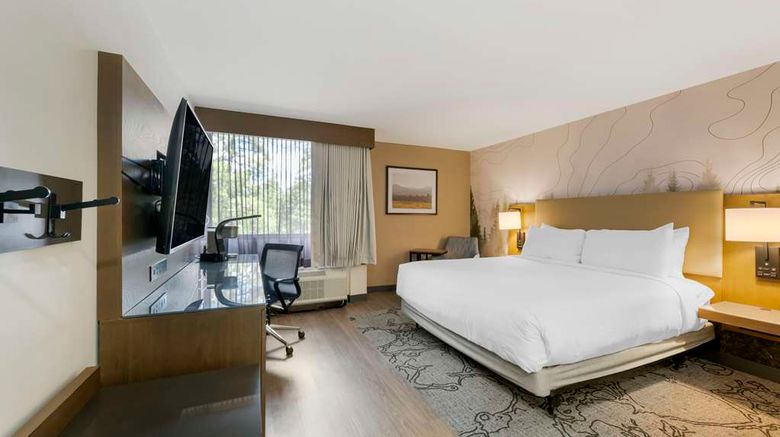 <b>Aiden by Best Western Flagstaff Room</b>. Images powered by <a href="https://iceportal.shijigroup.com/" title="IcePortal" target="_blank">IcePortal</a>.