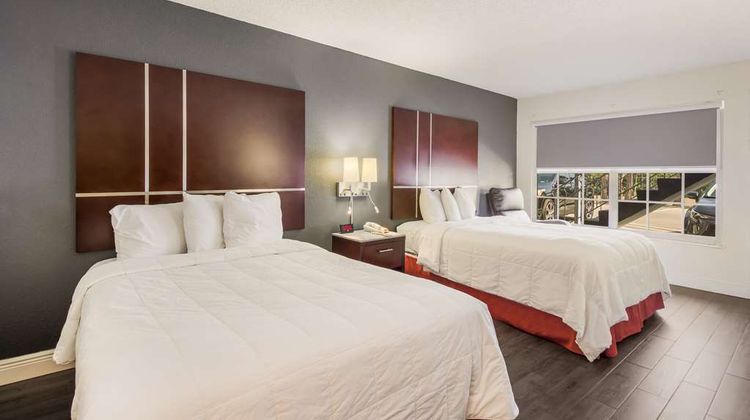 SureStay Hotel Best Western Sarasota N Room