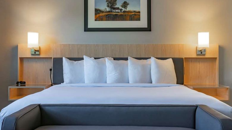 <b>The Waters-Tapestry Collection by Hilton Room</b>. Images powered by <a href="https://iceportal.shijigroup.com/" title="IcePortal" target="_blank">IcePortal</a>.