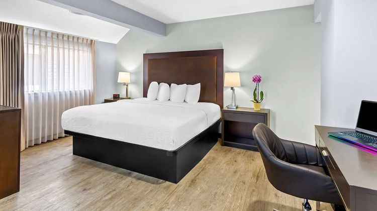 SureStay Studio, Best Western Pensacola Room