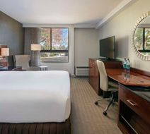 Sonesta Charlotte Lower South End Room