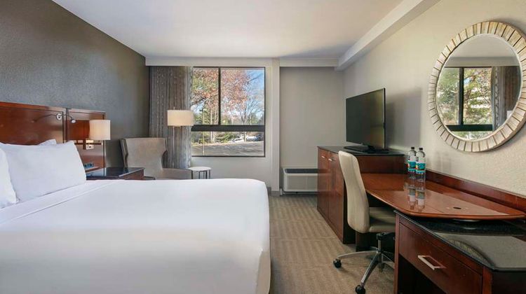Sonesta Charlotte Lower South End Room