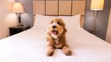 Sonesta Simply Suites Cleveland North Olmsted Other