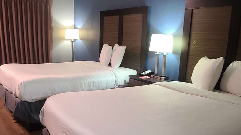 <b>Econo Lodge Room</b>. Images powered by <a href="https://iceportal.shijigroup.com/" title="IcePortal" target="_blank">IcePortal</a>.
