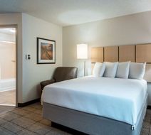 Sonesta Simply Suites Dallas Richardson Suite
